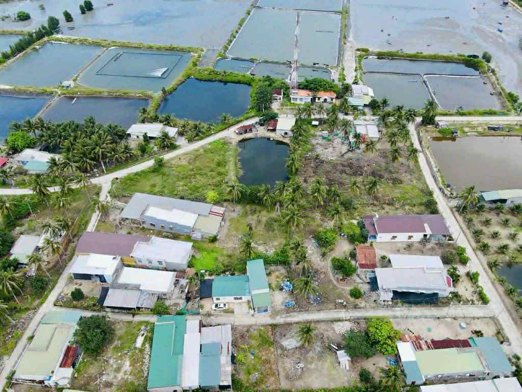 Cần bán Đất đường Quốc lộ 1A, Xã Cam Lập, Diện tích 522m², Giá 1.5 Tỷ 3