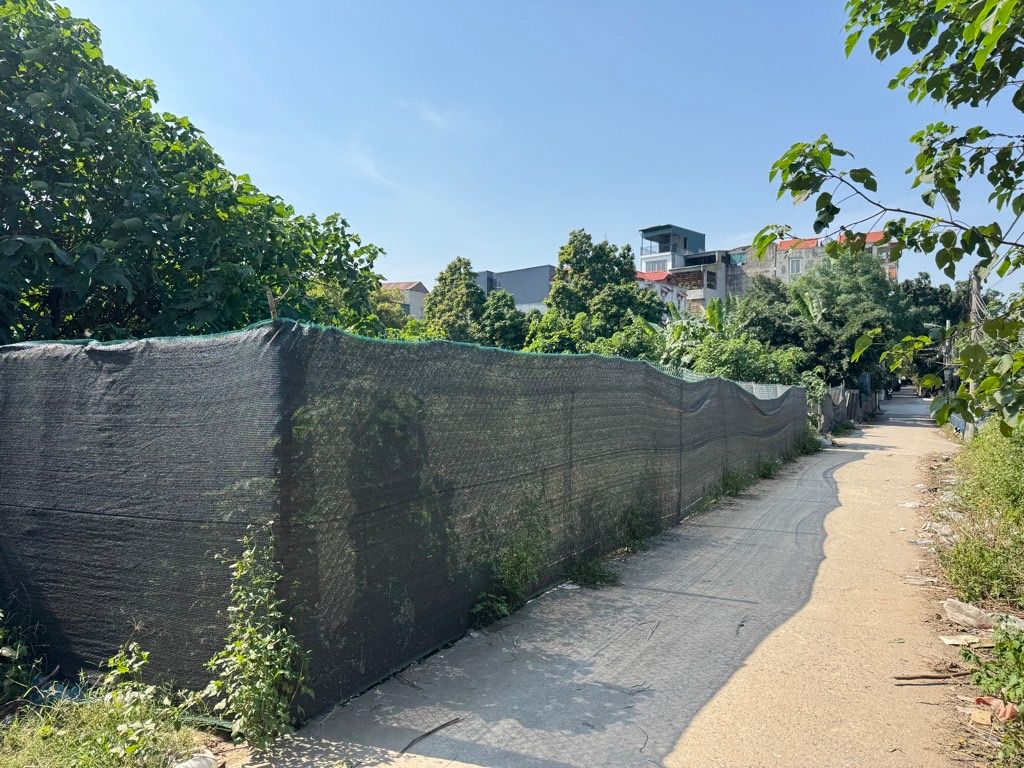 Cần bán Đất đường Thúy Lĩnh, Phường Lĩnh Nam, Diện tích 418m², Giá 4.5 Tỷ