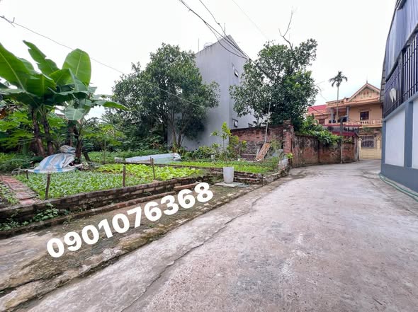 MẢNH ĐẤT TIÊU ĐẸP 76M OTO VÀO TẬN ĐẤT NGAY QL 32 TẠI NGỌC TẢO _ PHÚC THỌ - HÀ NỘI 2