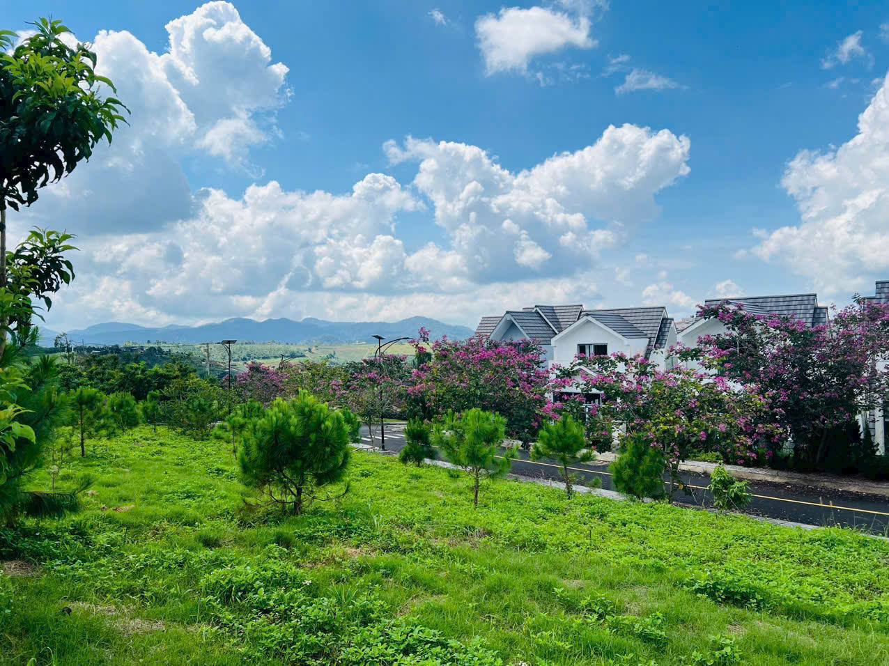 Cần bán Đất đường Lý Thái Tổ, Xã Lộc Tân, Diện tích 1622m², Giá 9.3 Triệu/m² 3