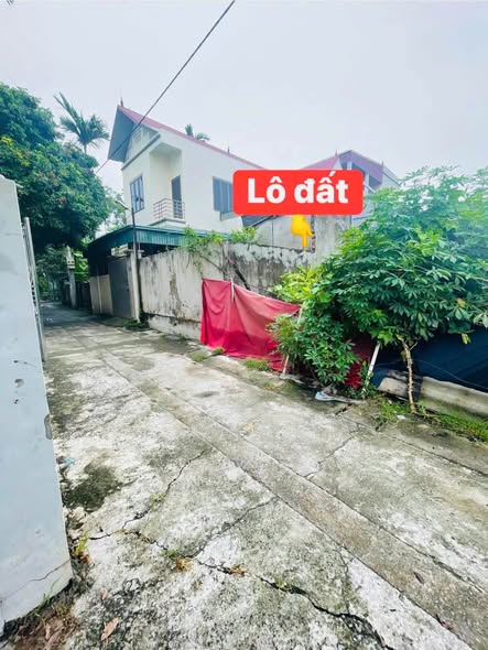 MUỐN BÁN GẤP 81.5M ĐẤT THANH PHẦN _ PHÚC HOÀ _ PHÚC THỌ. 2