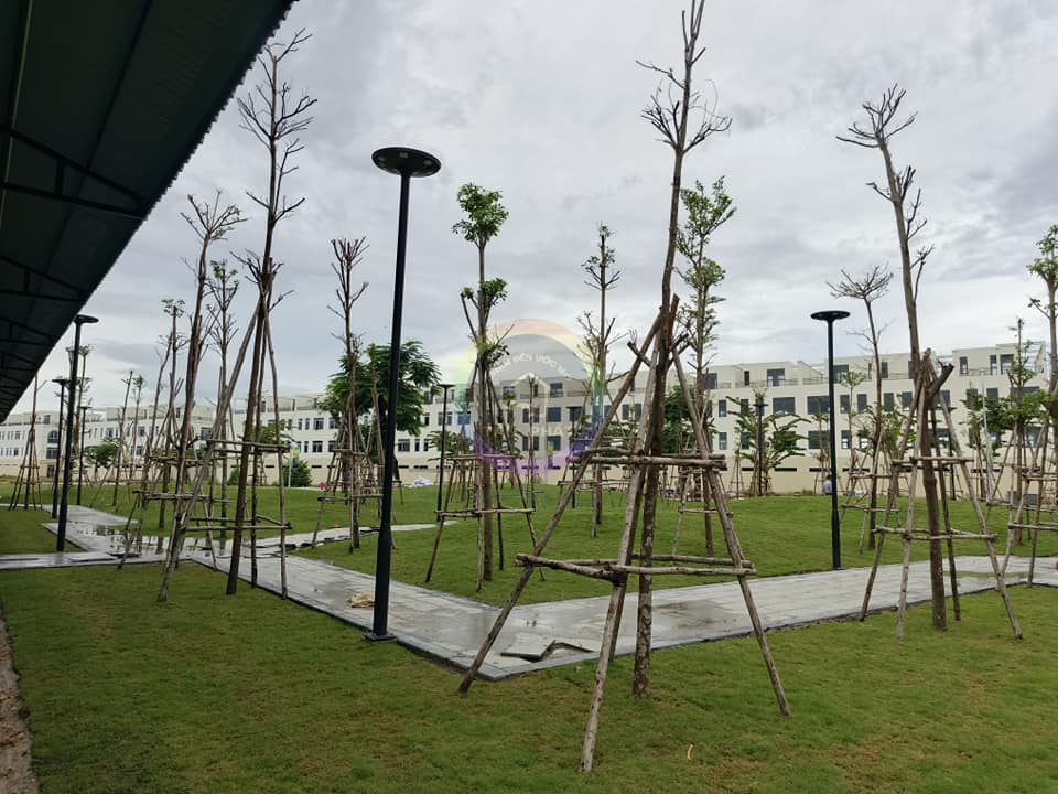 Bán đất dự án trả góp không lãi suất,đất đẹp ở mặt tiền QL19 Quy Nhơn Giá chỉ từ 2,2 tỷ/lô diện 2