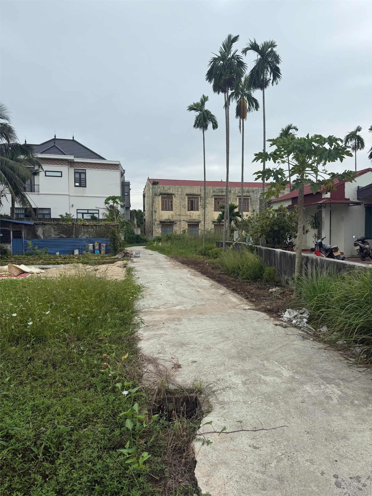 GIÁ HIẾM – LÔ NHỎ TRUNG TÂM HOÀ NGHĨA, NGÕ 2.5M  ZALO 0567 222 555 3