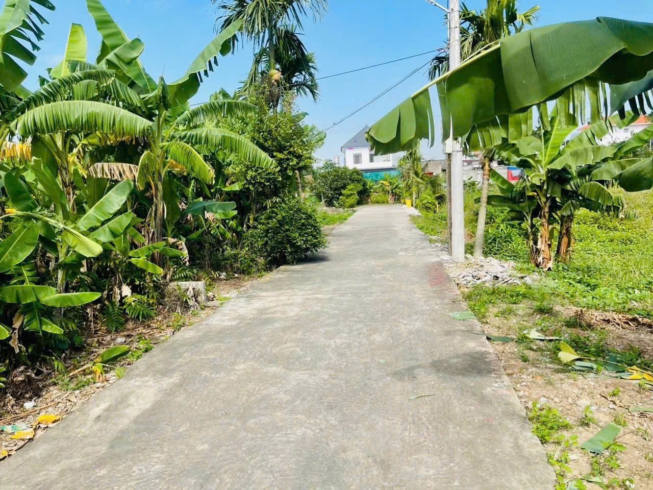 Lô đẹp – giá hiếm khu Minh Tân chỉ 1,7x tỷ  ZALO 0567 222 555 4