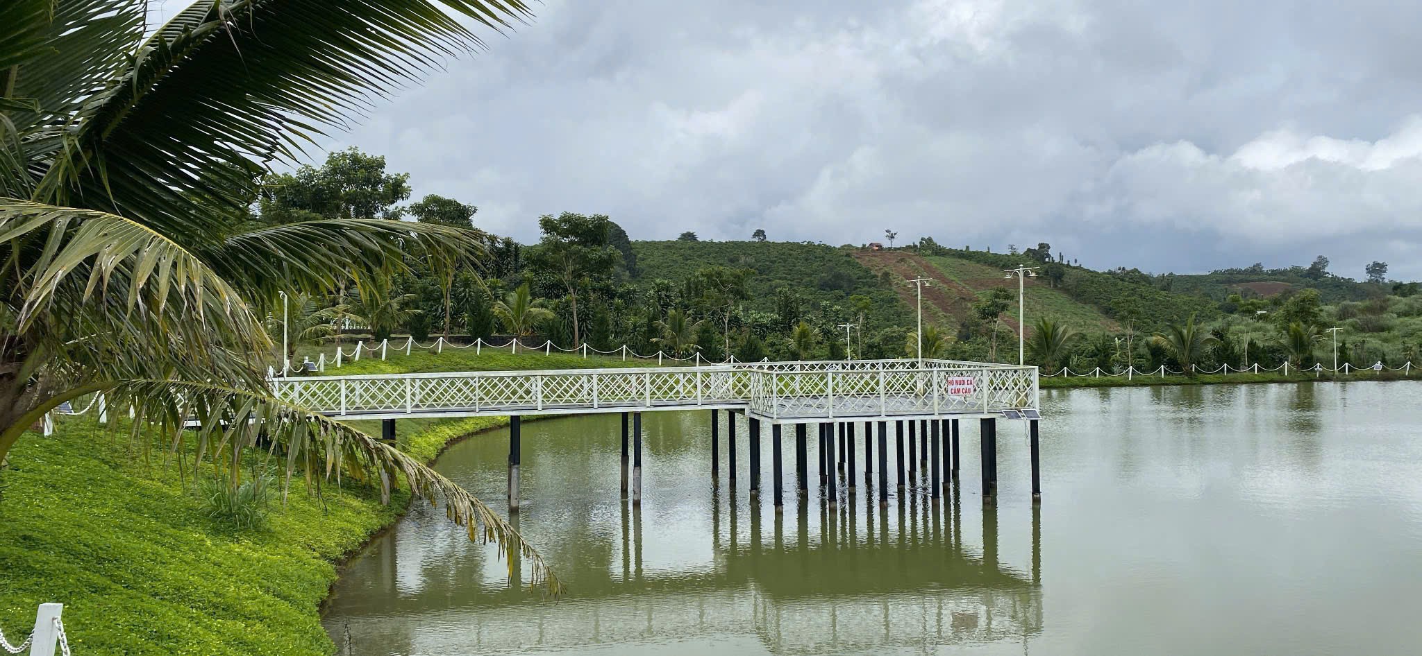 [HOT] Sở hữu ngay 1 lô tại NaLi Chill - Homestay and BBQ giá bán chỉ 850TR 4