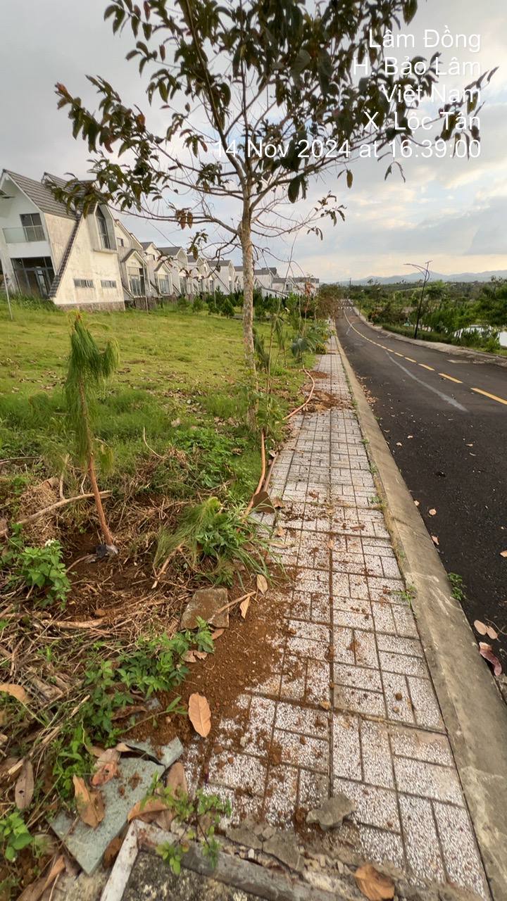 Cần bán Đất đường Lý Thái Tổ, Xã Lộc Tân, Diện tích 1622m², Giá 9.3 Triệu/m² 4