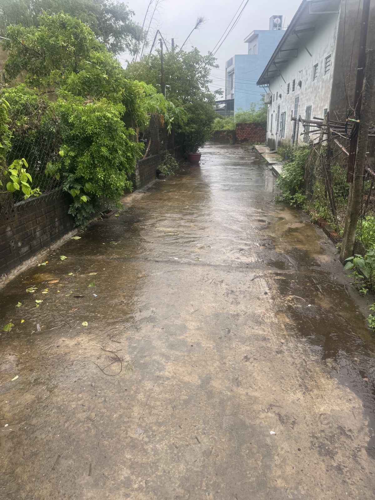 ĐẤT ĐẸP LƯU QUANG VŨ – KIỆT Ô TÔ TẢI – CHỈ 2,45 TỶ! 2