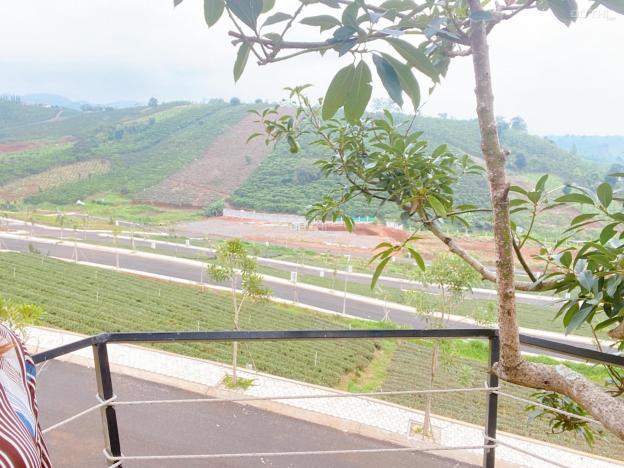 Chính chủ bán rẻ lô đất thổ cư - cạnh Làng Pháp Bảo Lộc, pháp lý rõ ràng 5