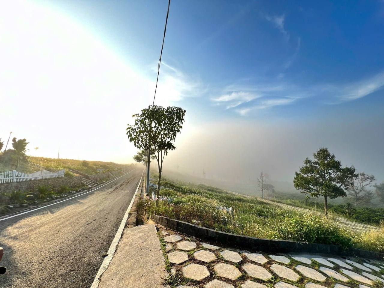 [HOT] Sở hữu ngay 1 lô tại NaLi Chill - Homestay and BBQ giá bán chỉ 850TR 5