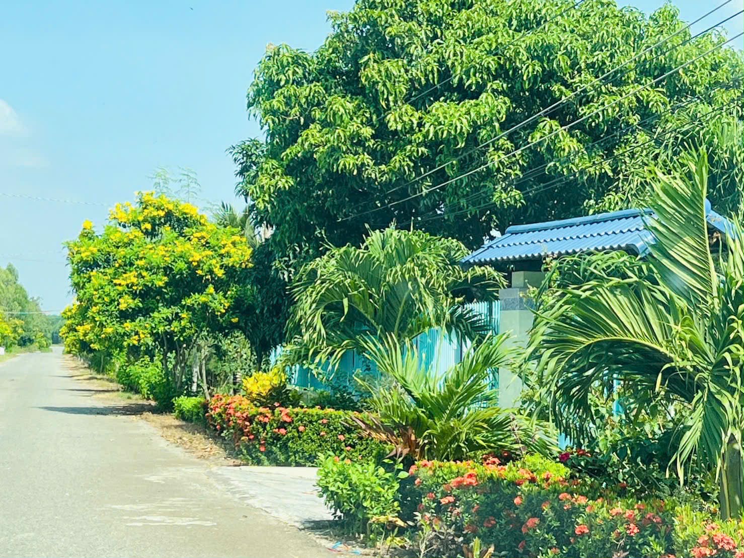 Cần bán Đất đường Võ Văn Kiệt, Xã Lộc An, Diện tích 1000m², Giá 1 Tỷ