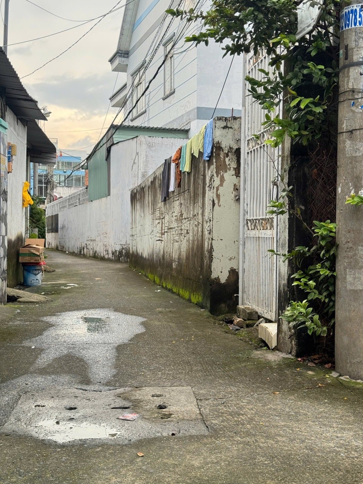 CHỈ 3,1 TỶ CẤP 4 198M2 NGANG KHỦNG 12M GẦN CHỢ HÓC MÔN ĐƯỜNG LÊ LỢI. THỊ TRẤN HÓC MÔN. 2