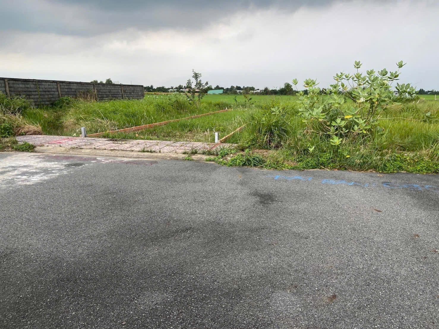 Hàng ngộp giá rẻ đầu tư 100m2 kdc Tân Lân 5 Hiệp xả gấp 640tr 3