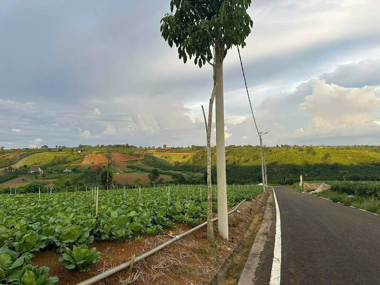 [HOT] Sở hữu ngay 1 lô tại NaLi Chill - Homestay and BBQ giá bán chỉ 850TR 6