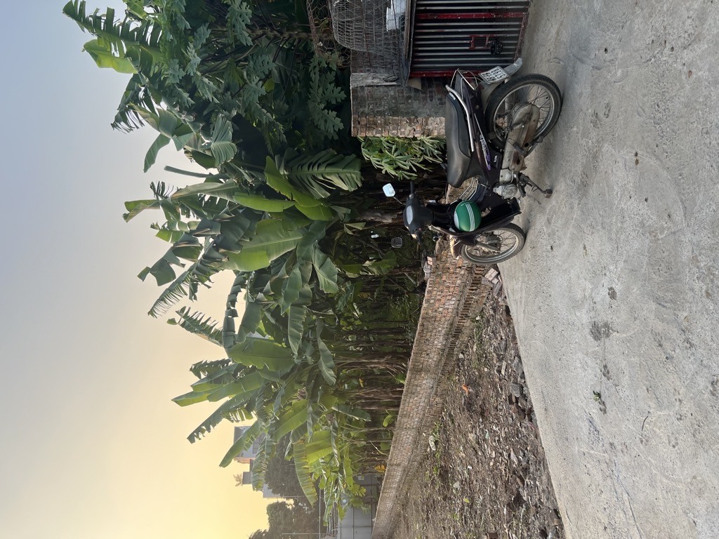 Cần bán Đất đường Nguyễn Khoái, Phường Thanh Trì, Diện tích 500m², Giá 55 Tỷ 3