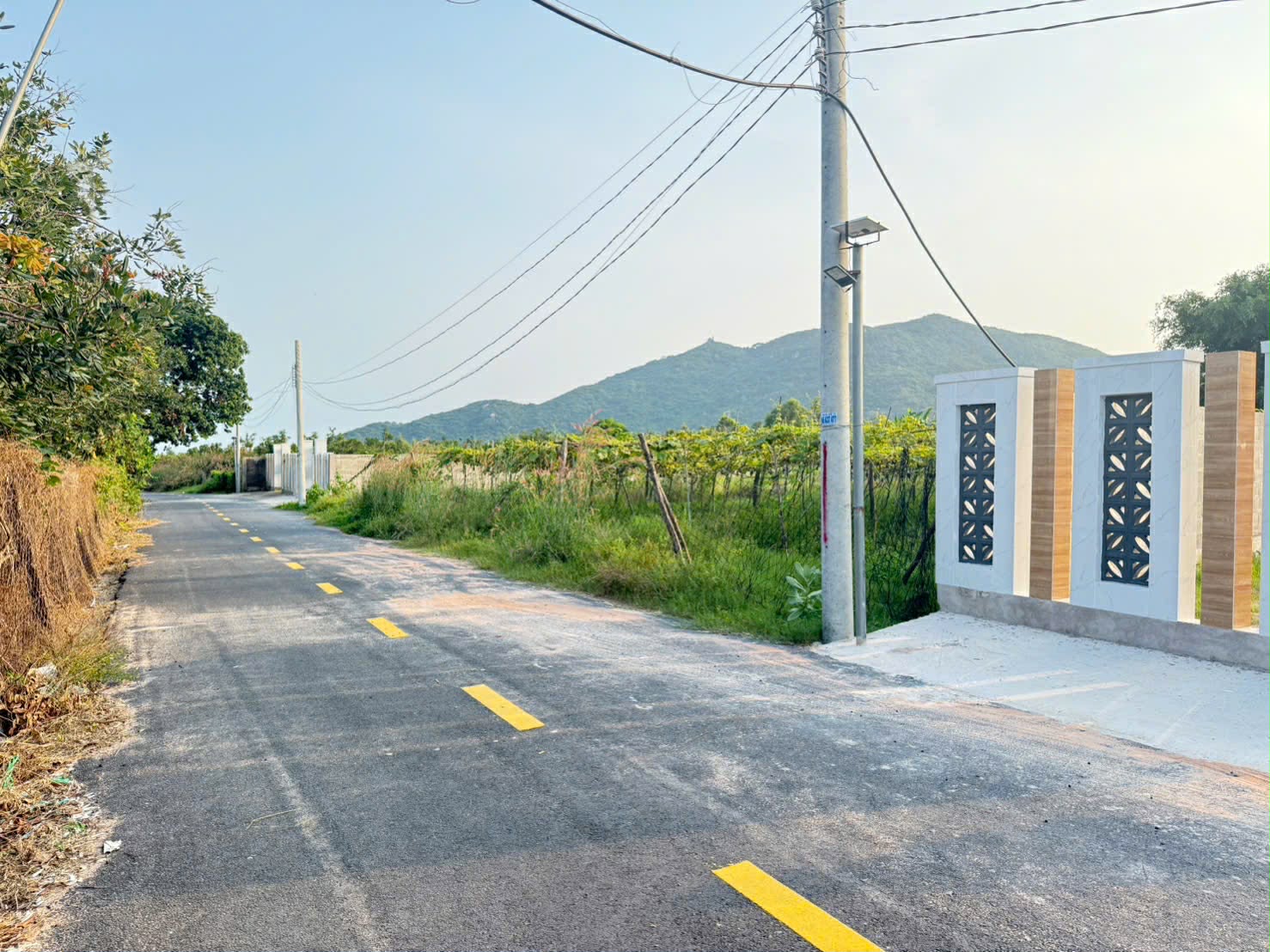 Cần bán Đất đường Tỉnh lộ 44, Thị trấn Phước Hải, Diện tích 259m², Giá 1.3 Tỷ 5