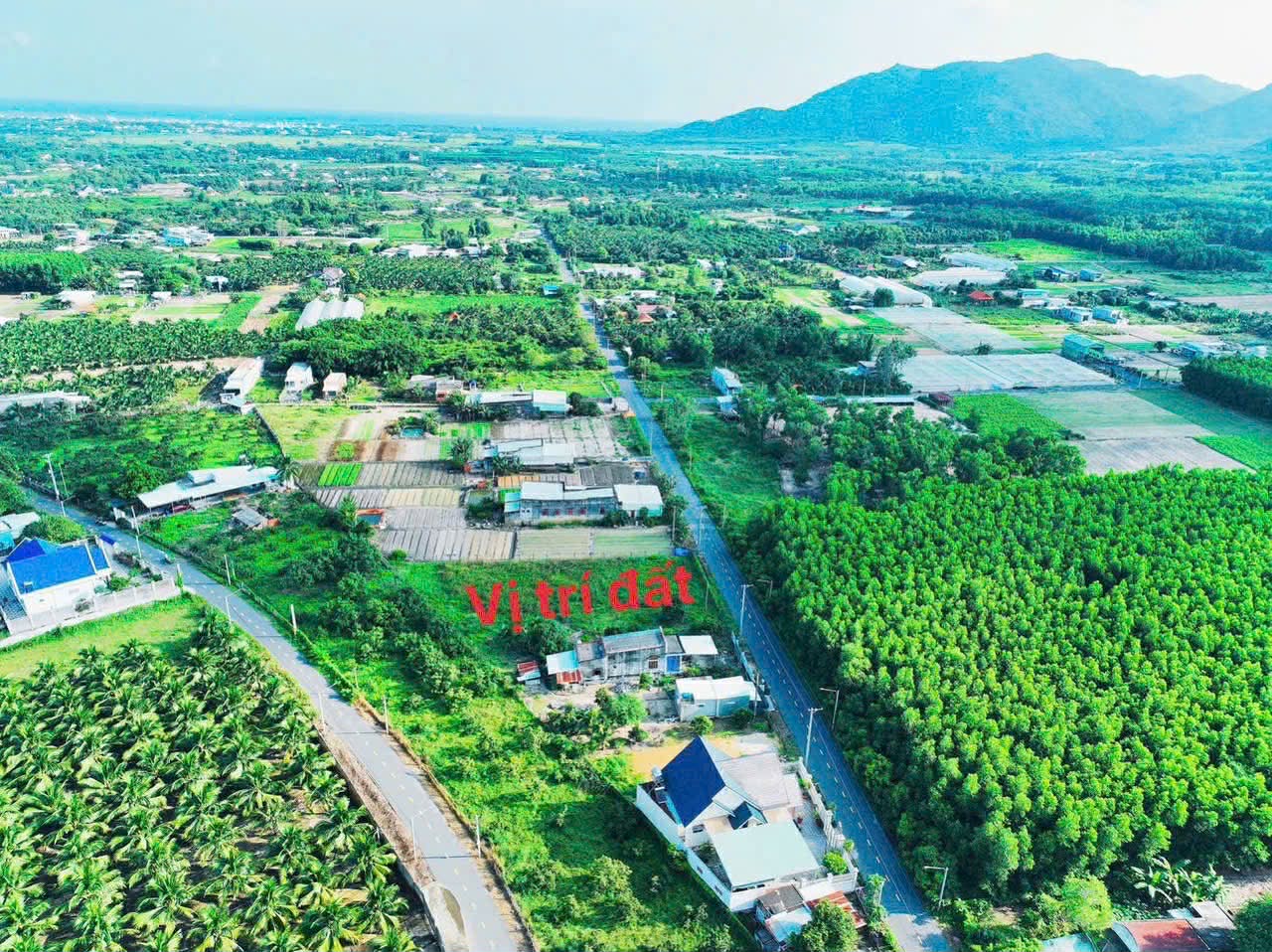 Cần bán Đất đường Tỉnh lộ 44, Thị trấn Phước Hải, Diện tích 570m², Giá 1.3 Tỷ 3