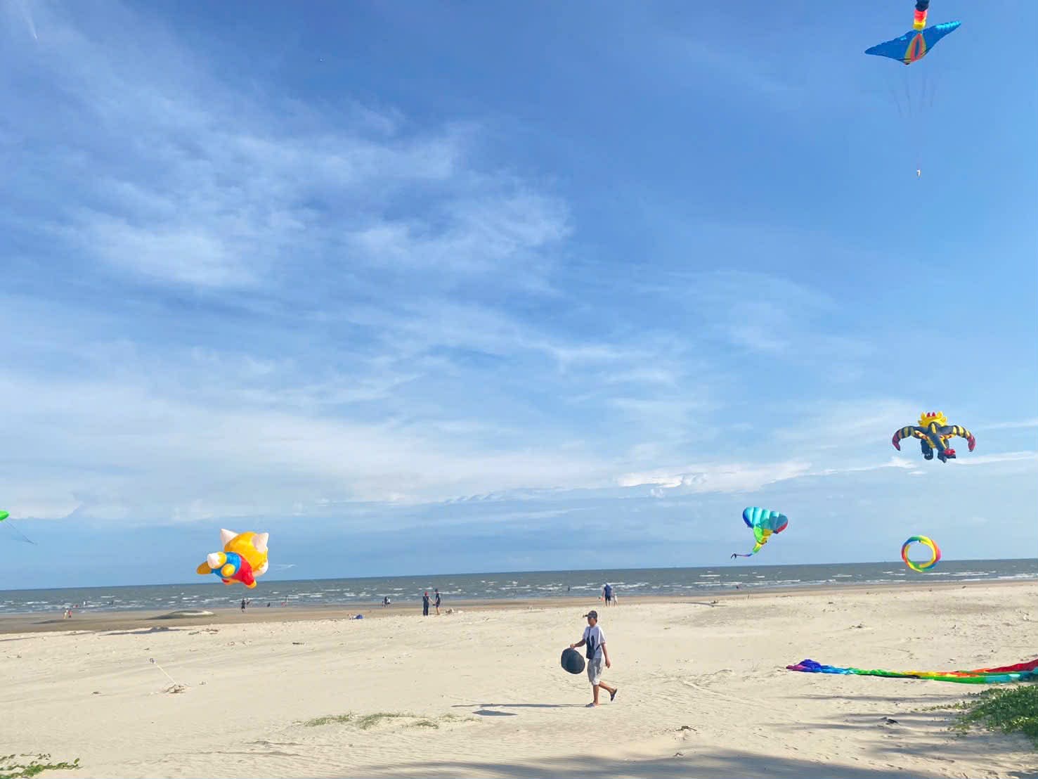 Cần bán Đất đường Võ Văn Kiệt, Xã Phước Hội, Diện tích 247m², Giá 1.5 Tỷ 6