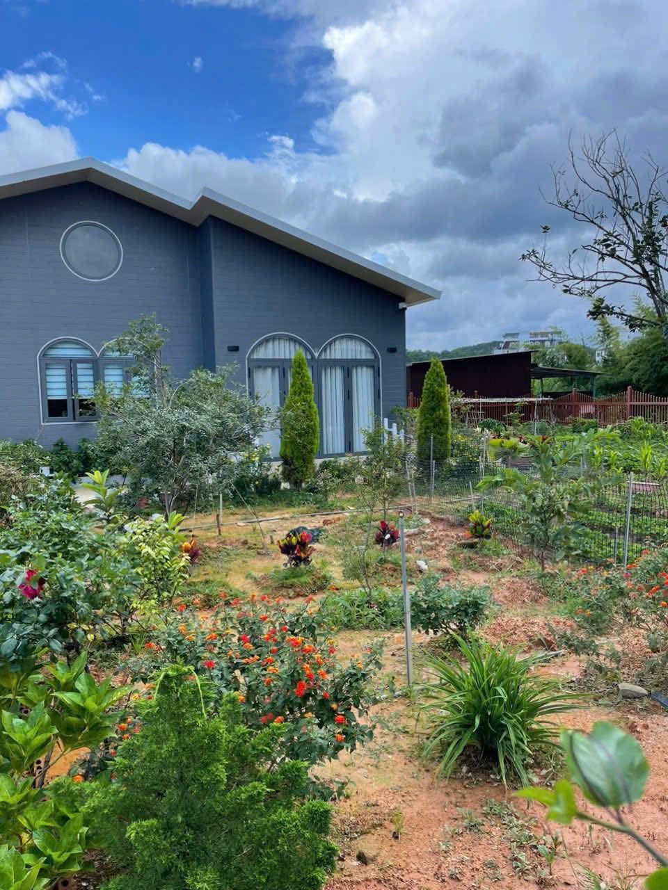 CẦN TIỀN BÁN NHÀ VƯỜN ĐƯỜNG AN BÌNH, P. XUÂN HƯƠNG - ĐÀ LẠT 616m2 GIÁ 8.5 TỶ