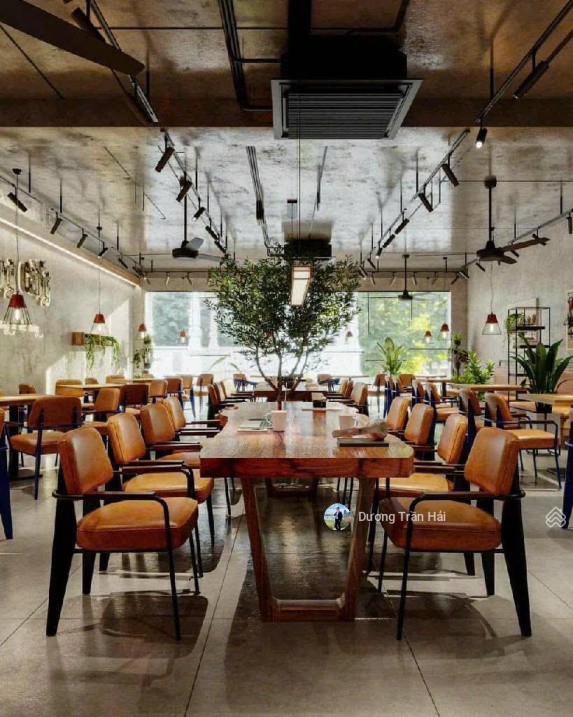 Bán nhà phố Láng Hạ - 130m2 x MT 7m - Lô góc 3 thoáng Vỉa hè rộng KDVP - Ô tô dừng đỗ 4