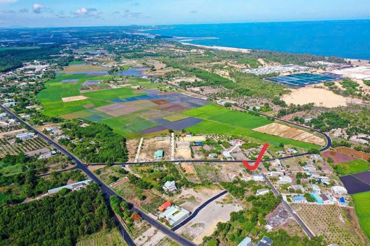 Cần bán Đất đường Võ Văn Kiệt, Xã Phước Hội, Diện tích 768m², Giá 1.7 Tỷ 6