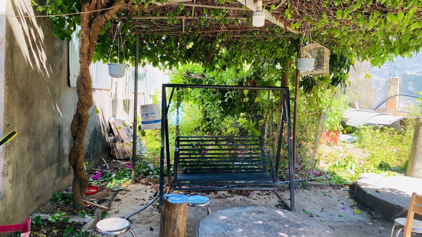 LÔ ĐẤT KIỆT NGUYỄN NHƯ ĐÃI – 100M² – CHỈ 1,79 TỶ! 2