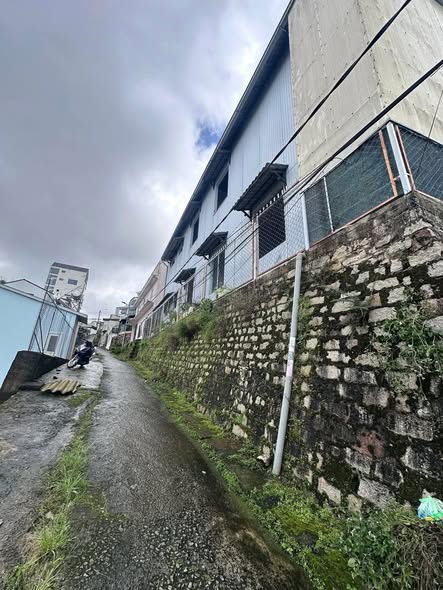 Cần Bán Gấp Lô Đất XD Sổ Riêng Gần Trung Tâm Đường Cổ Loa, P2, Đà Lạt Giá Chỉ 3.9 Tỷ 2