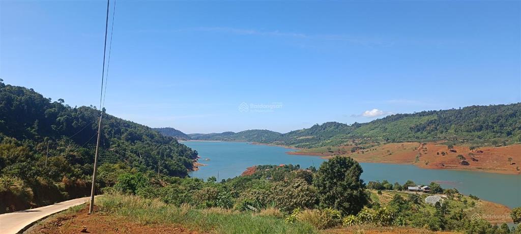 Đất diện tích lớn, view cao toàn cảnh Hồ Ngọc – tiềm năng phát triển farmstay/compound