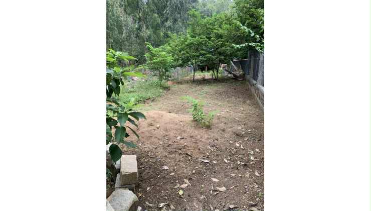 Cần bán Đất đường Quốc lộ 1A, Xã Cam Lập, Diện tích 240m², Giá 1.2 Tỷ 4