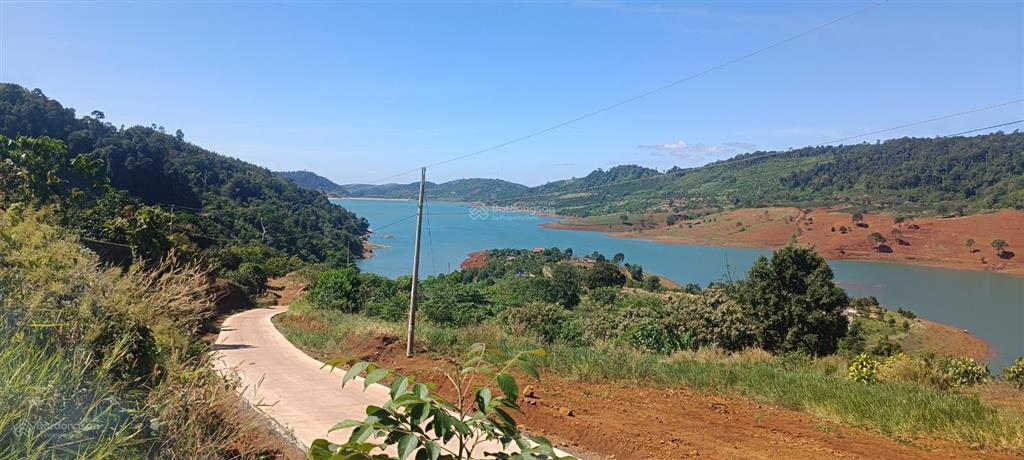 Đất view hồ – triền đồi thoải hiếm tại Bảo Lộc, quy hoạch thổ cư tương lai