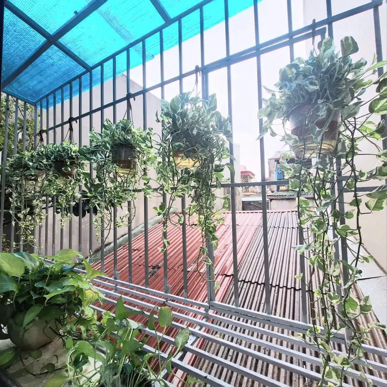 Bán Nhà Ngõ Thịnh Hào3 18/22m2. 5 tầng. mặt tiền 2.7m. giá 5.85 tỷ Đống Đa Hà Nội 5