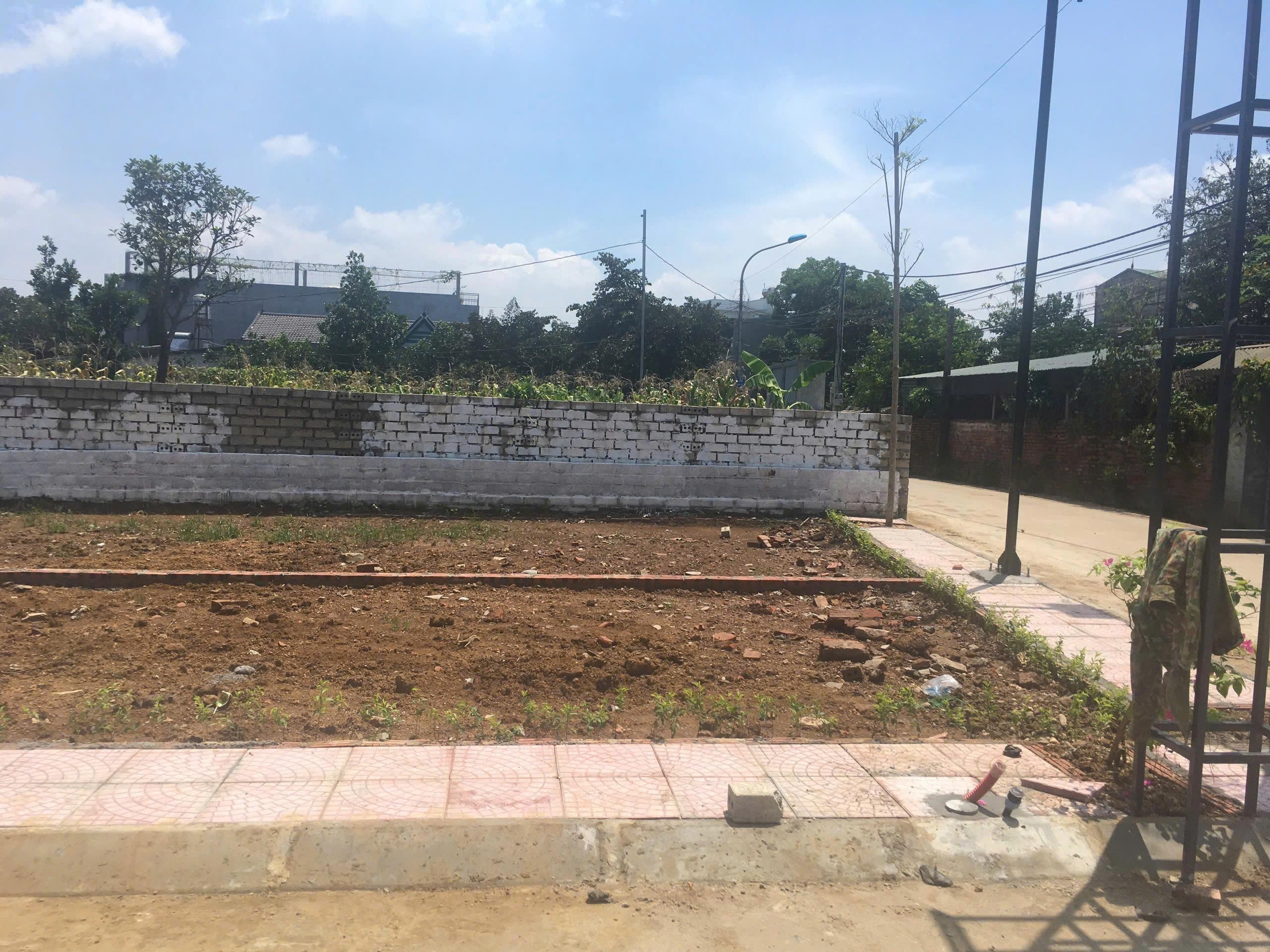 Cần bán Đất Xã Cổ Đông, Sơn Tây, Diện tích 100m², Giá 1900 Triệu 3