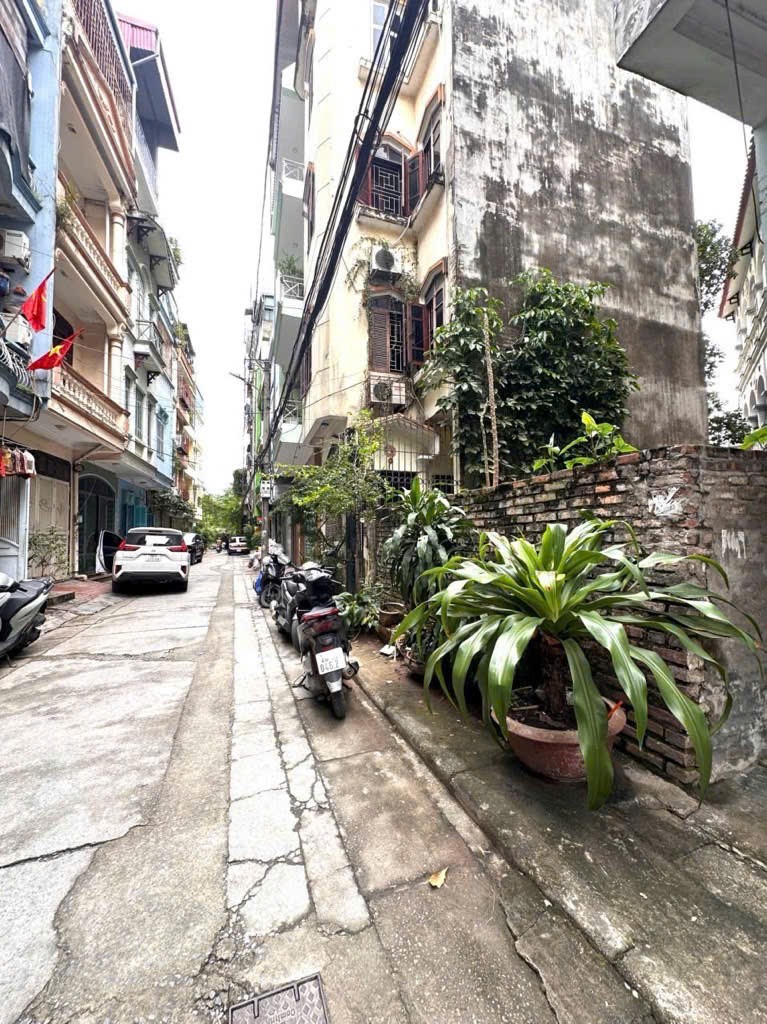 Cần bán Đất đường Phố Vọng, Phường Đồng Tâm, Diện tích 37m², Giá 14.7 Tỷ 2