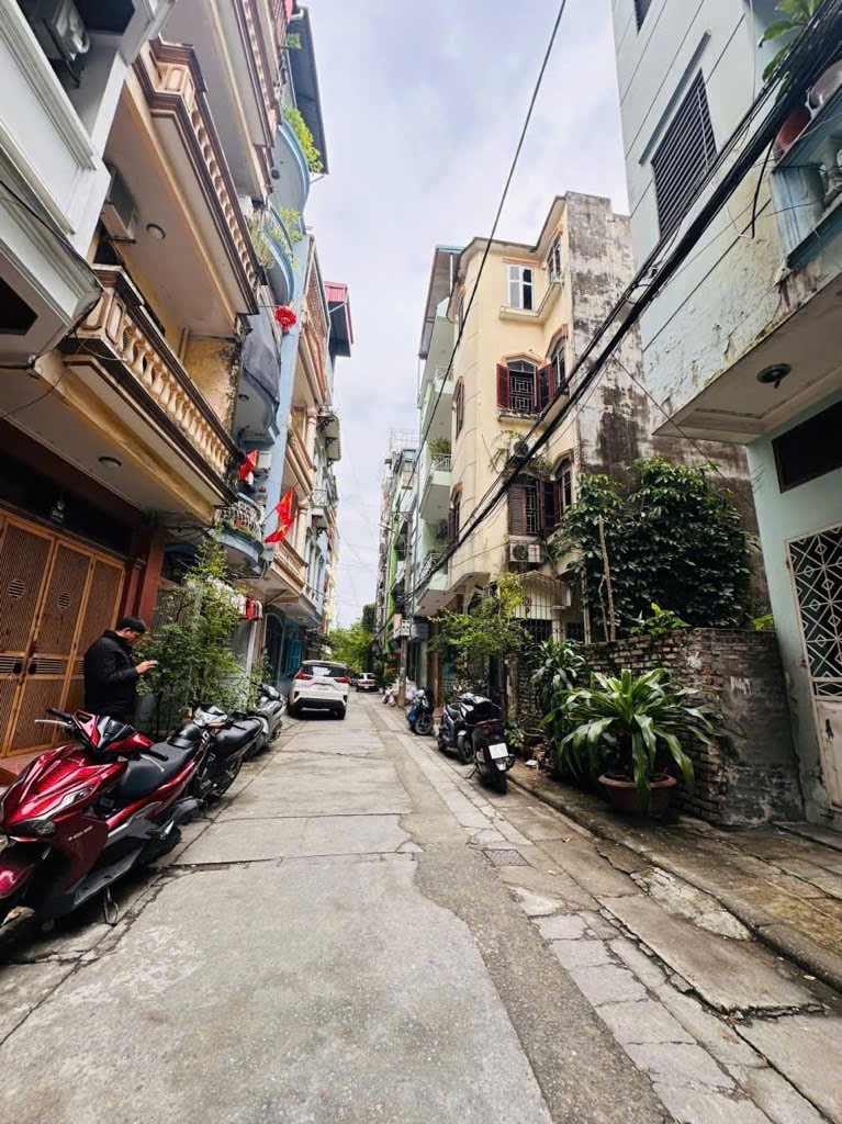 Cần bán Đất đường Phố Vọng, Phường Đồng Tâm, Diện tích 37m², Giá 14.7 Tỷ 3