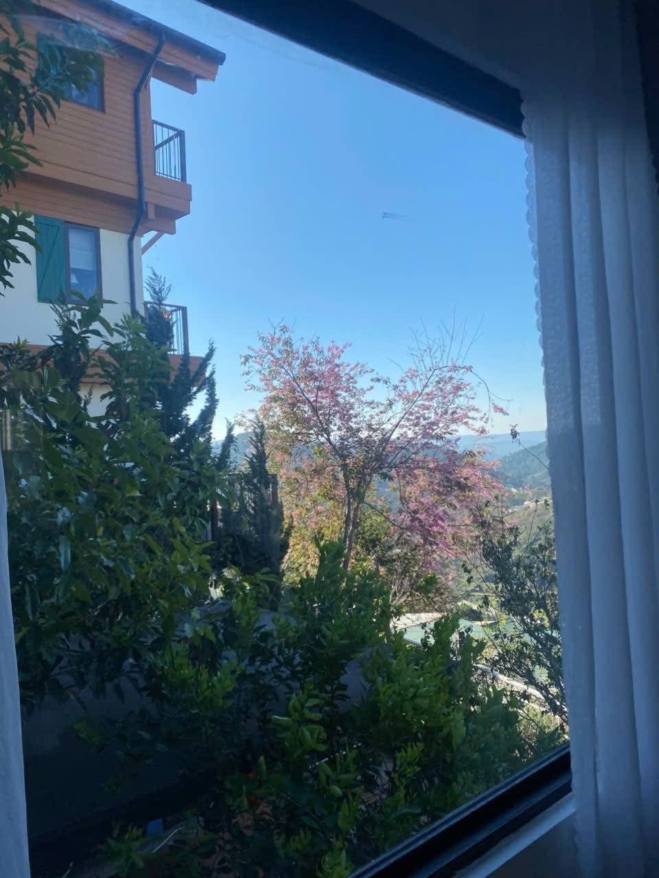 Bán Gấp Nhà View Đẹp Đang Kinh Doanh Homestay Đường Hoàng Hoa Thám, P. Xuân Hương – Đà Lạt 293m2 4