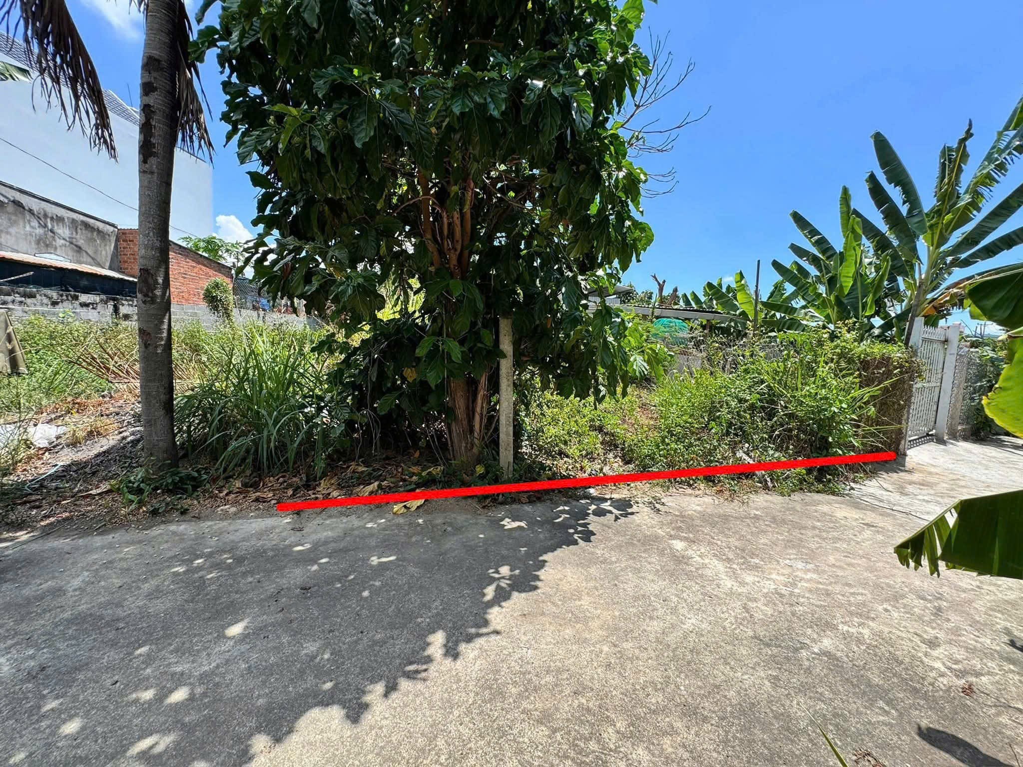 Bán đất Diên An giá rẻ hẻm đường Gò Thập cách 23/10 đúng 200m gần Cầu Ông Bộ 3