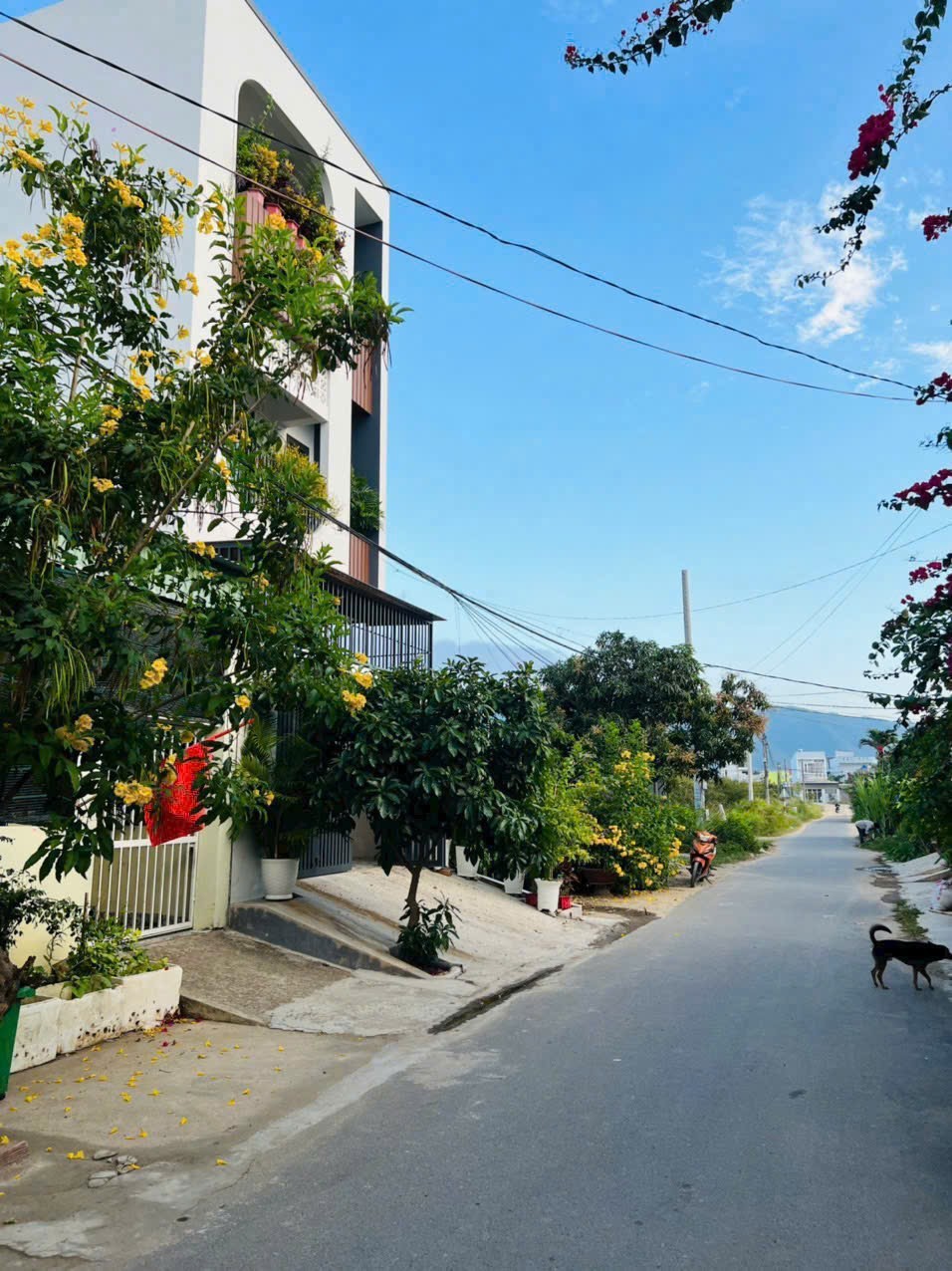 Bán đất Diên An mặt tiền đường Chợ Chiều giáp ranh khu đô thị Phú Ân Nam 2 3