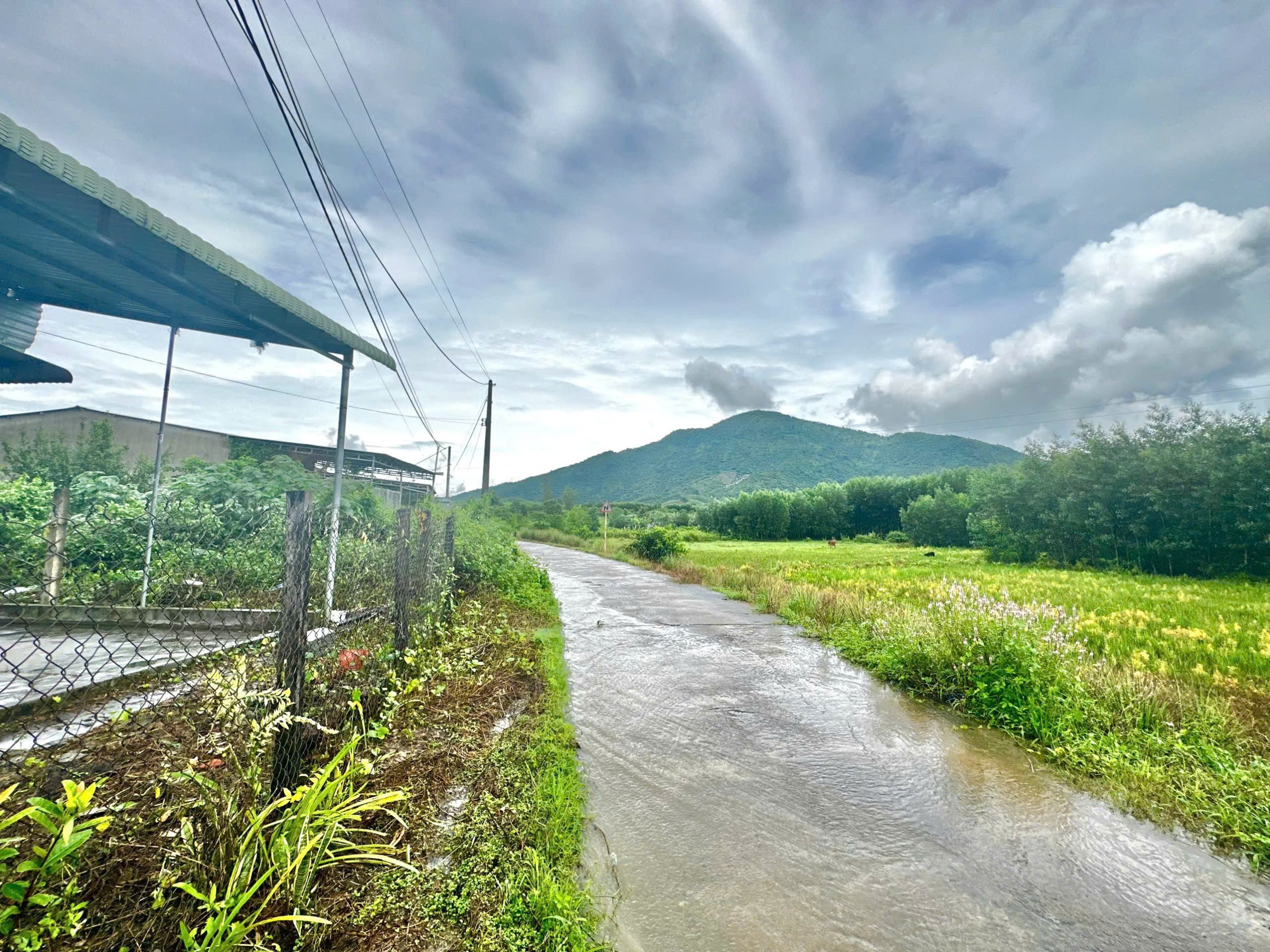 Bán nhà Diên Lâm - Diên Khánh giá rẻ có sân sau rộng làm vườn 7