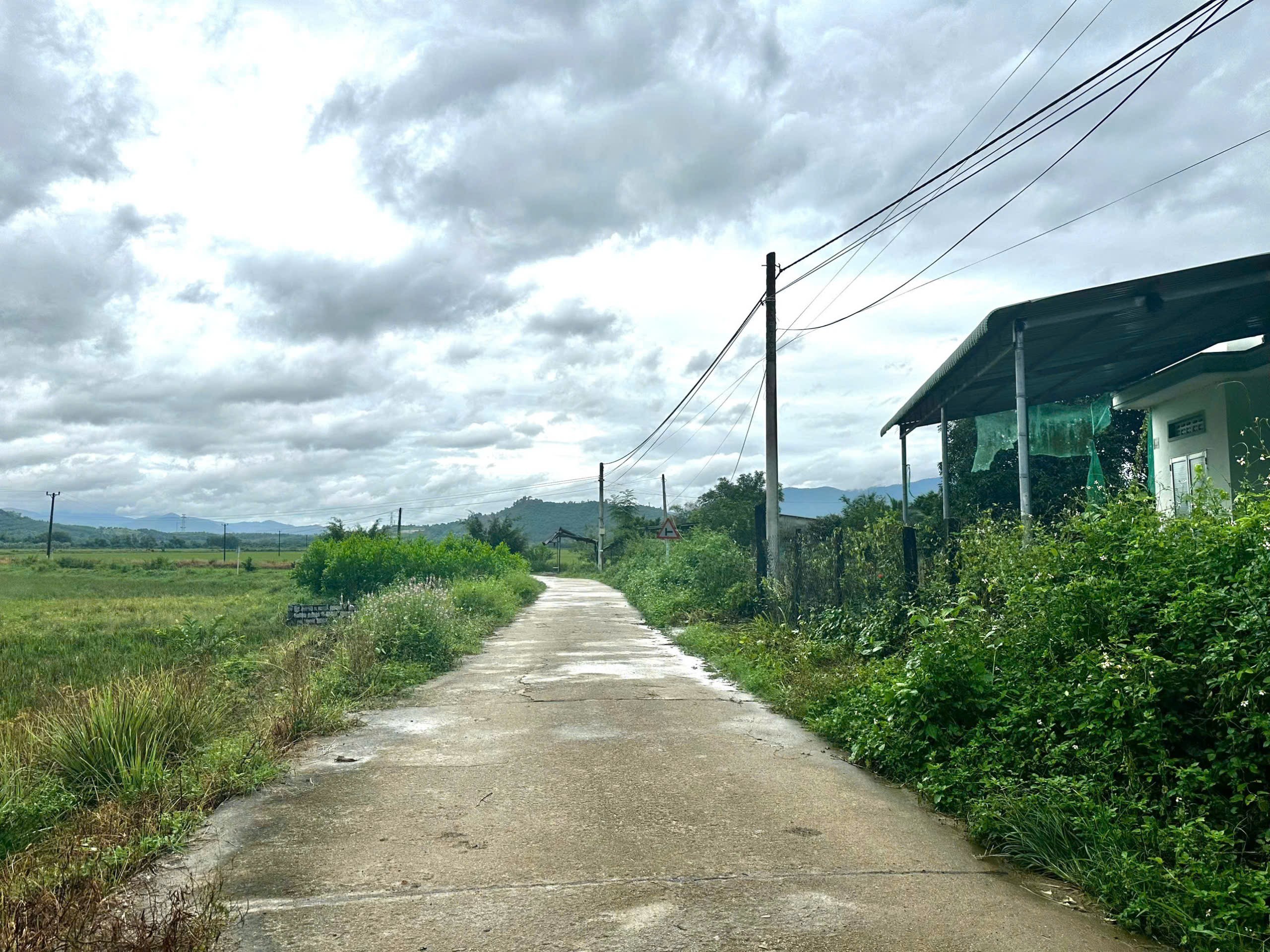 Bán nhà Diên Lâm - Diên Khánh giá rẻ có sân sau rộng làm vườn 11