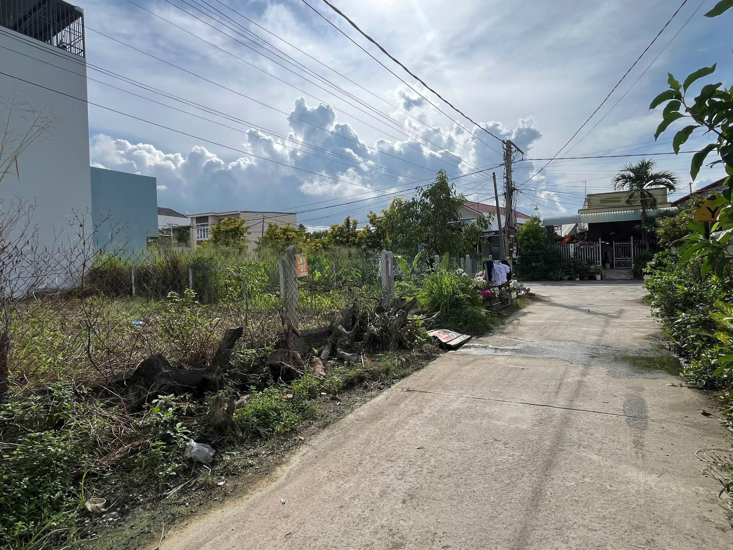 Bán đất Diên An thôn Phú Ân Nam 2 - nhánh đường Chợ Chiều dân cư đông đúc 4