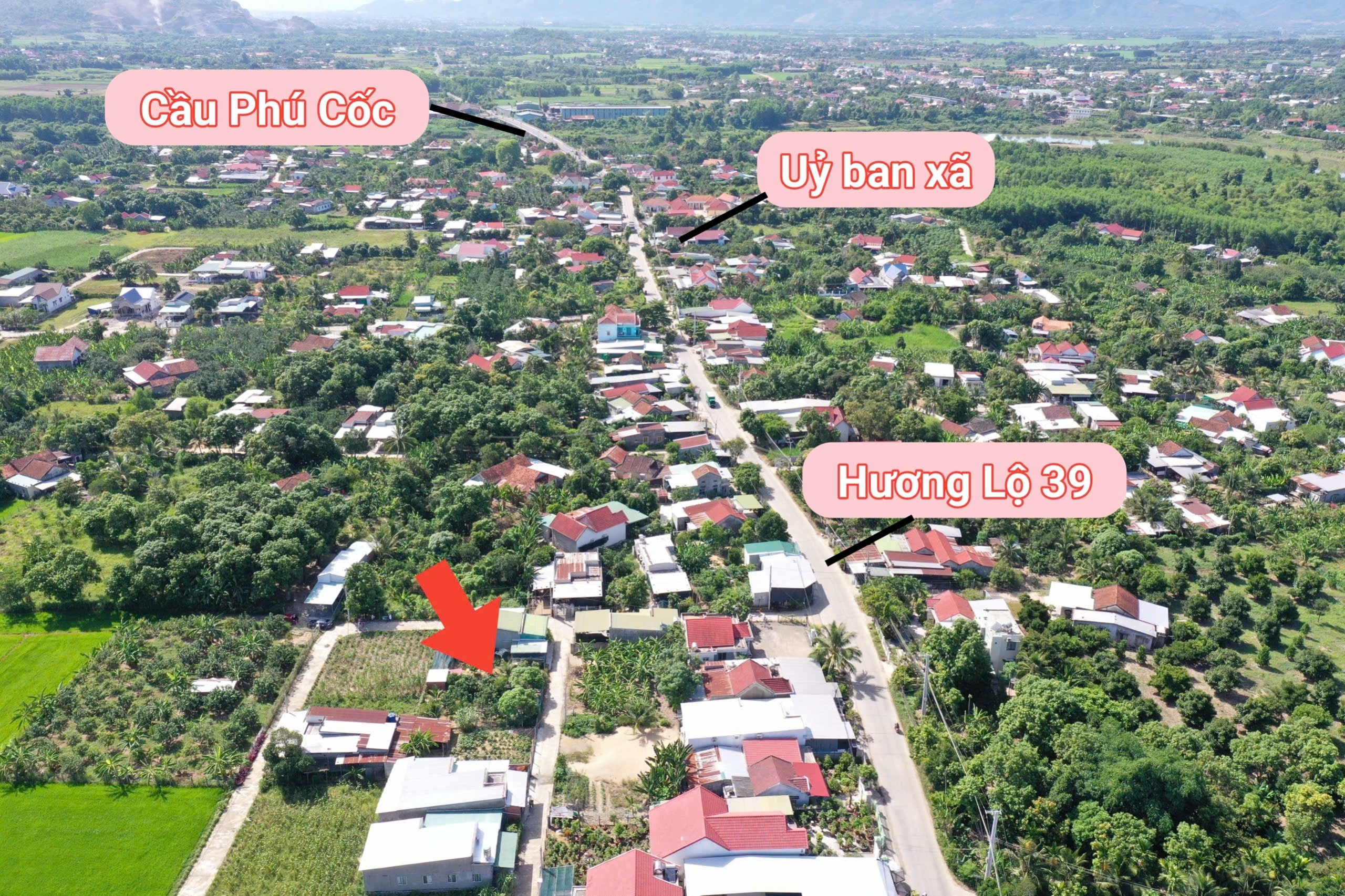 Bán đất Diên Lâm full thổ khu nhà nước phân lô sát bên Hương Lộ 39 - giáp Diên Phước 2