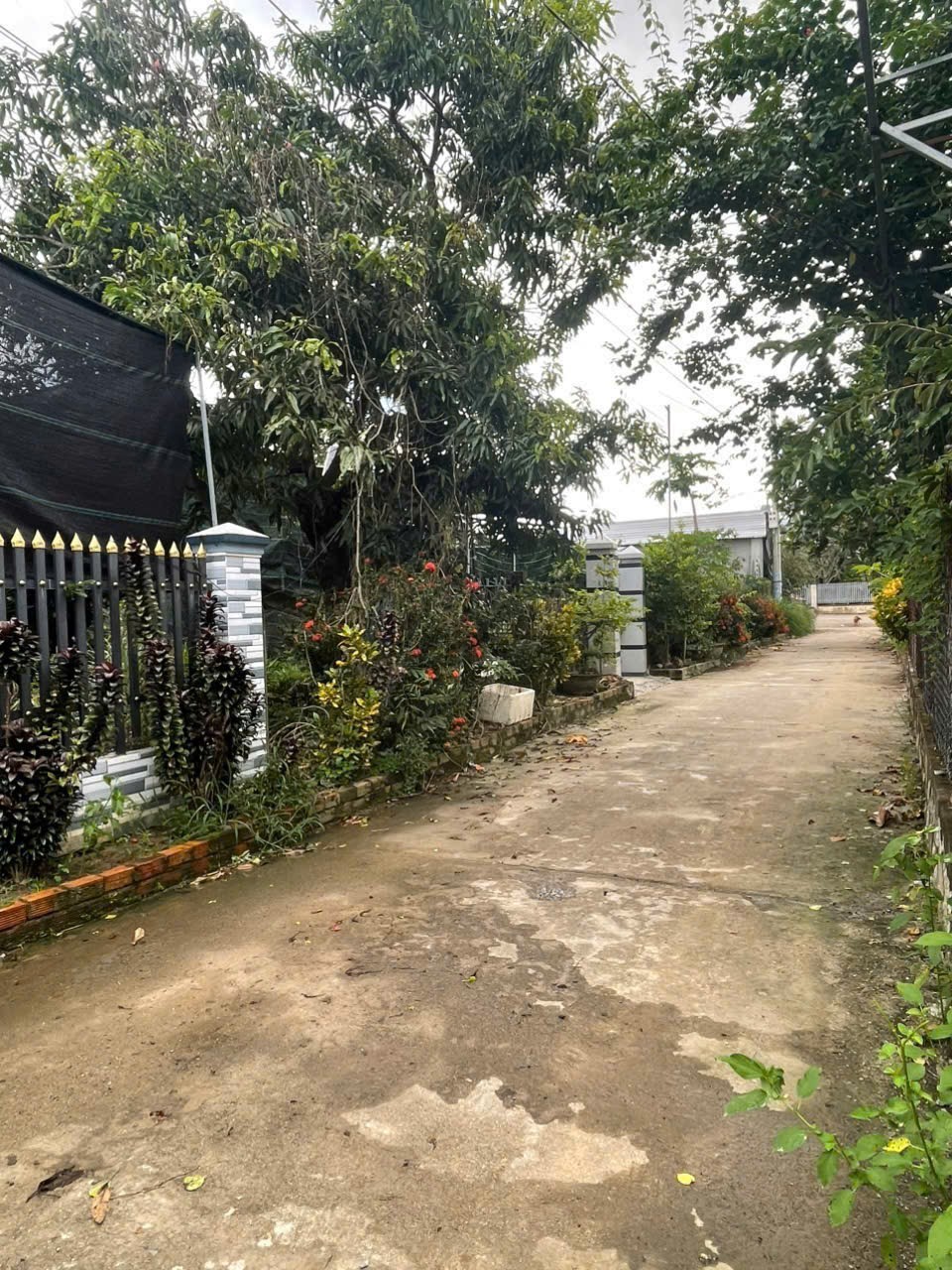 Bán đất Diên Lâm full thổ khu nhà nước phân lô sát bên Hương Lộ 39 - giáp Diên Phước 9