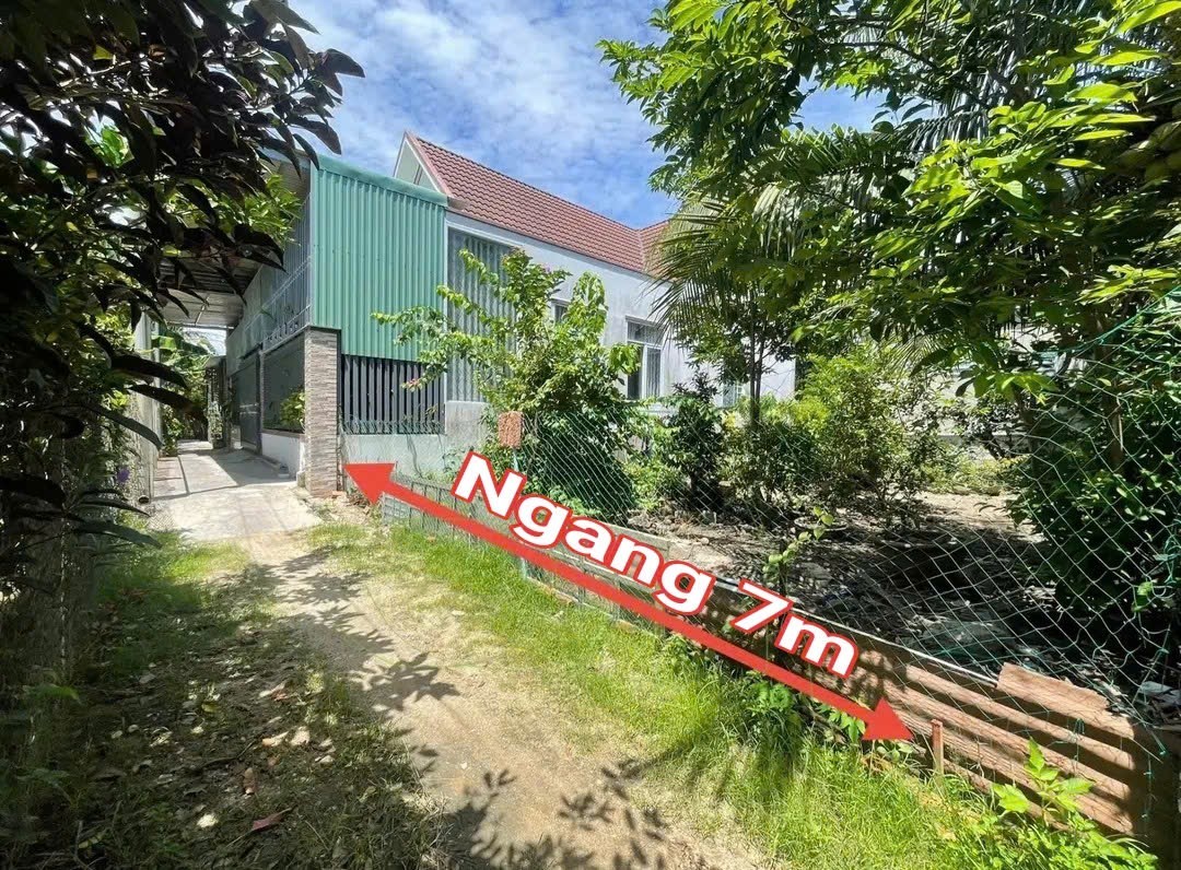 Bán đất Diên Lạc giá rẻ đường Tổ 2A cách Tỉnh Lộ 2 đúng 100m