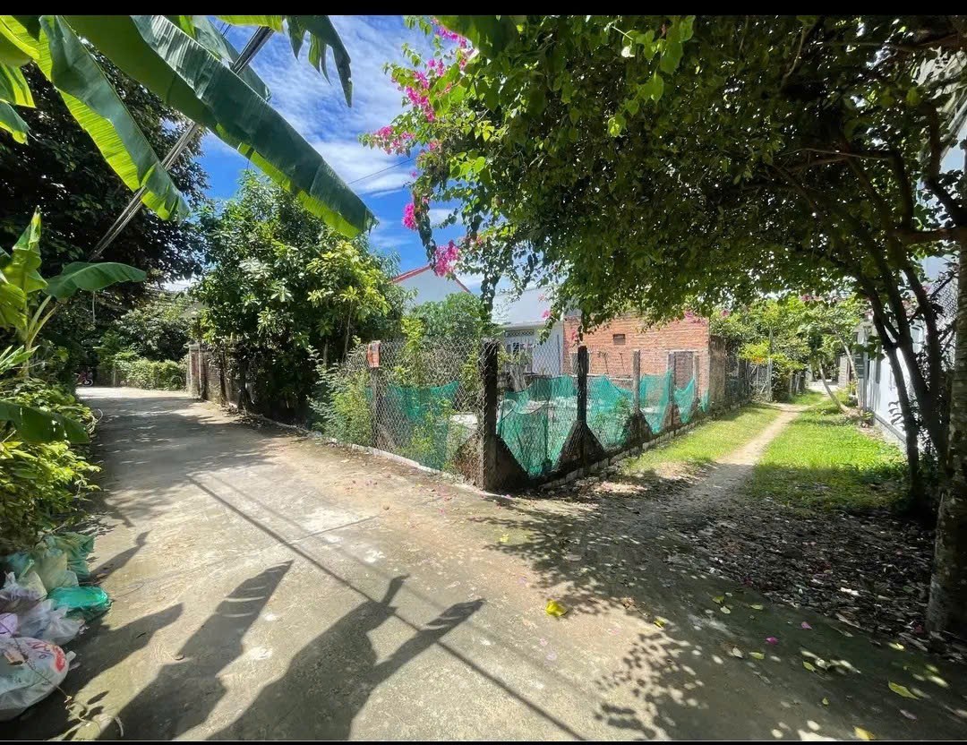 Bán đất Diên Lạc giá rẻ đường Tổ 2A cách Tỉnh Lộ 2 đúng 100m 4