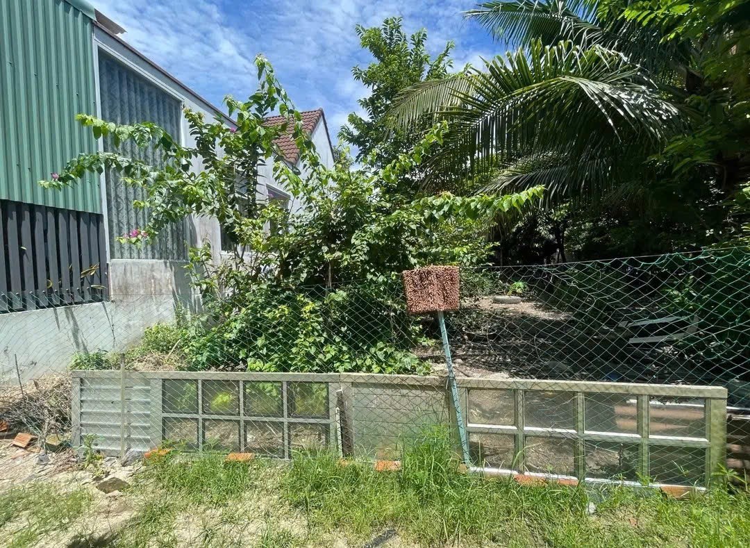 Bán đất Diên Lạc giá rẻ đường Tổ 2A cách Tỉnh Lộ 2 đúng 100m 2