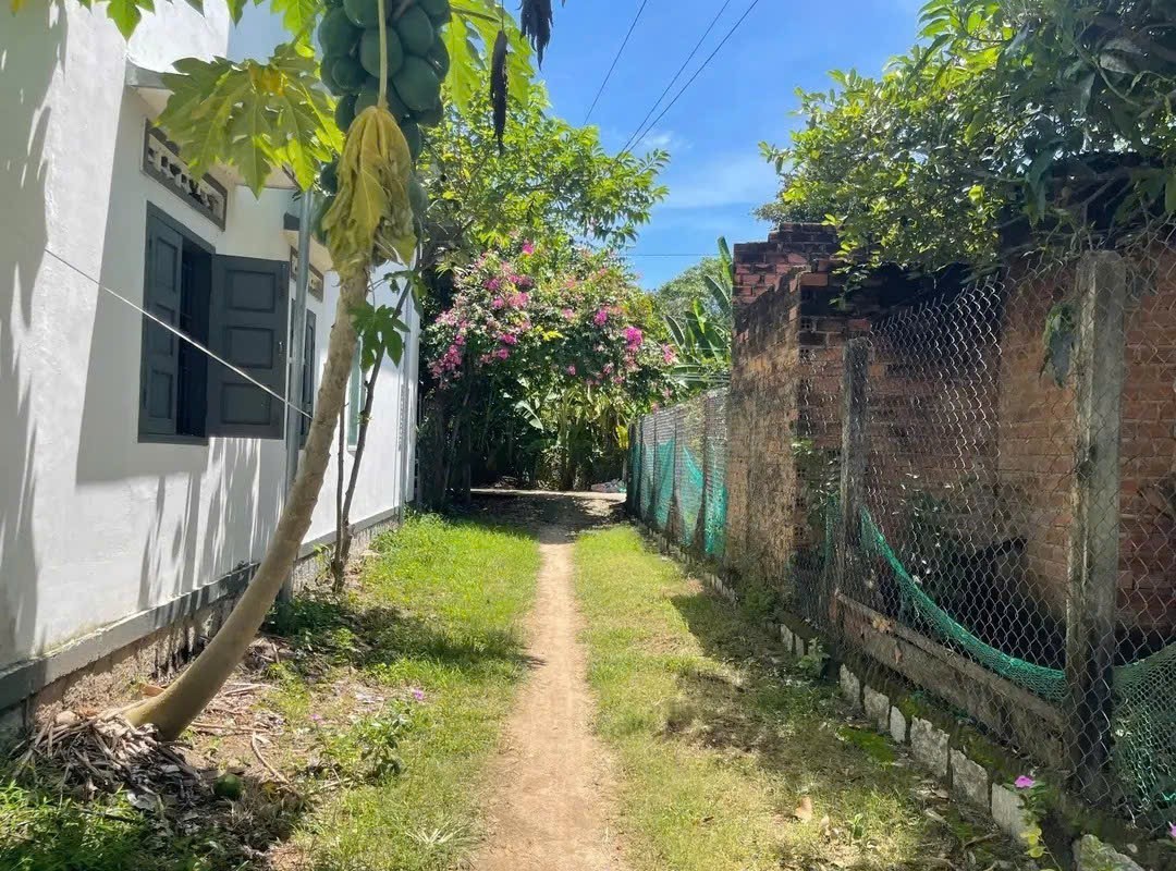 Bán đất Diên Lạc giá rẻ đường Tổ 2A cách Tỉnh Lộ 2 đúng 100m 3