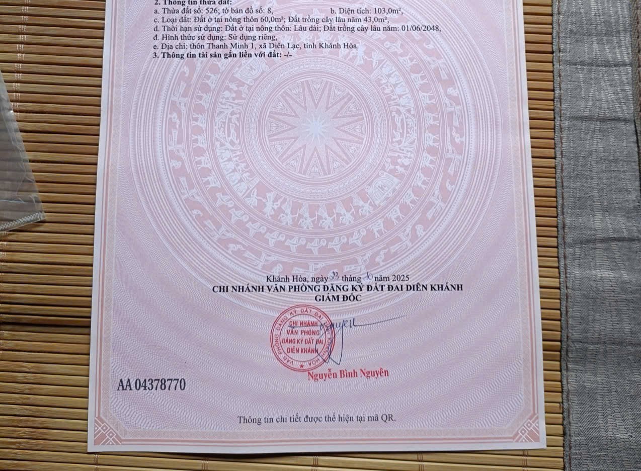 Bán đất Diên Lạc giá rẻ đường Tổ 2A cách Tỉnh Lộ 2 đúng 100m 7