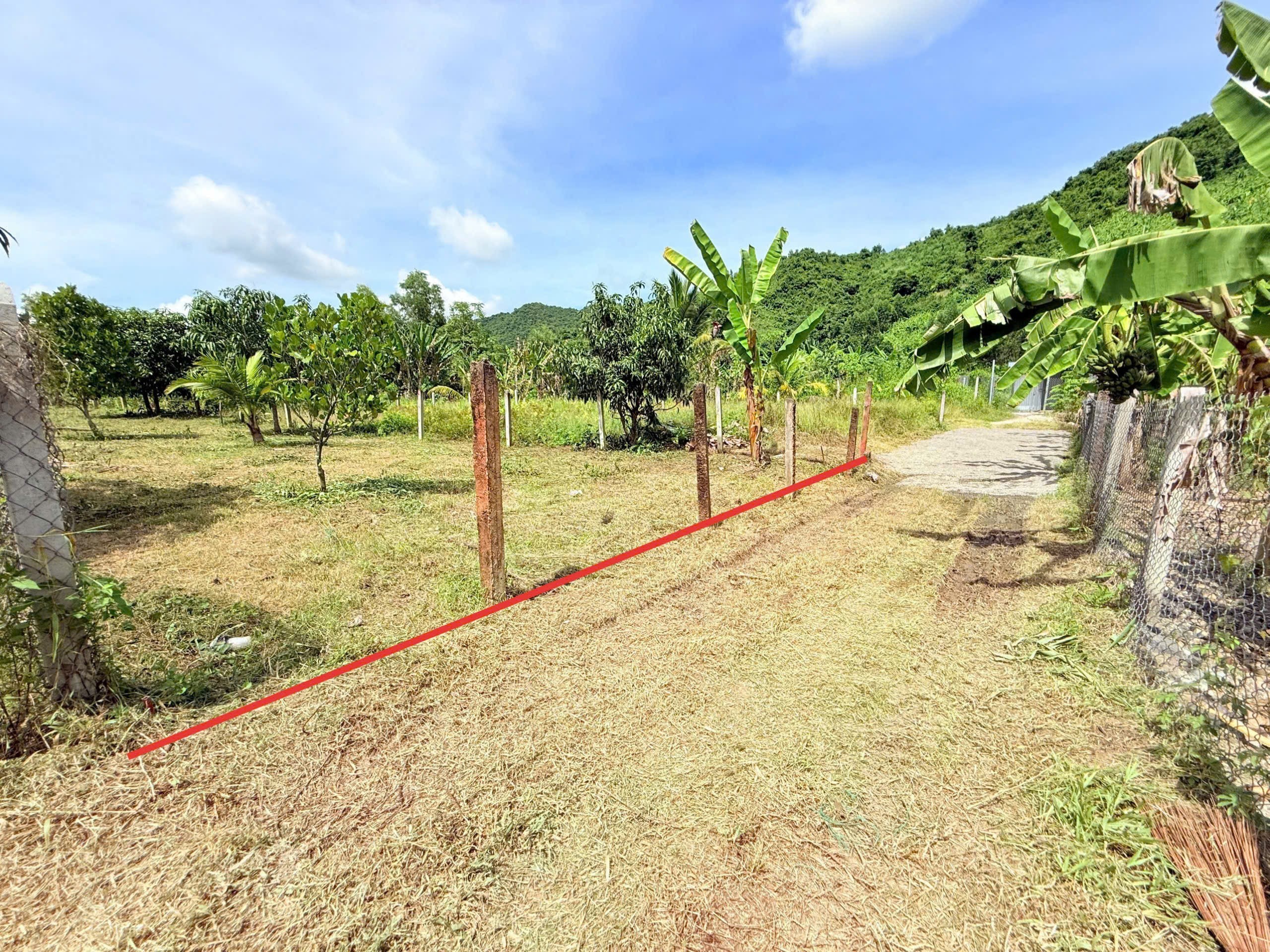 Bán đất Diên Tân giá rẻ ngay trung tâm xã - sau lưng chợ đi vào