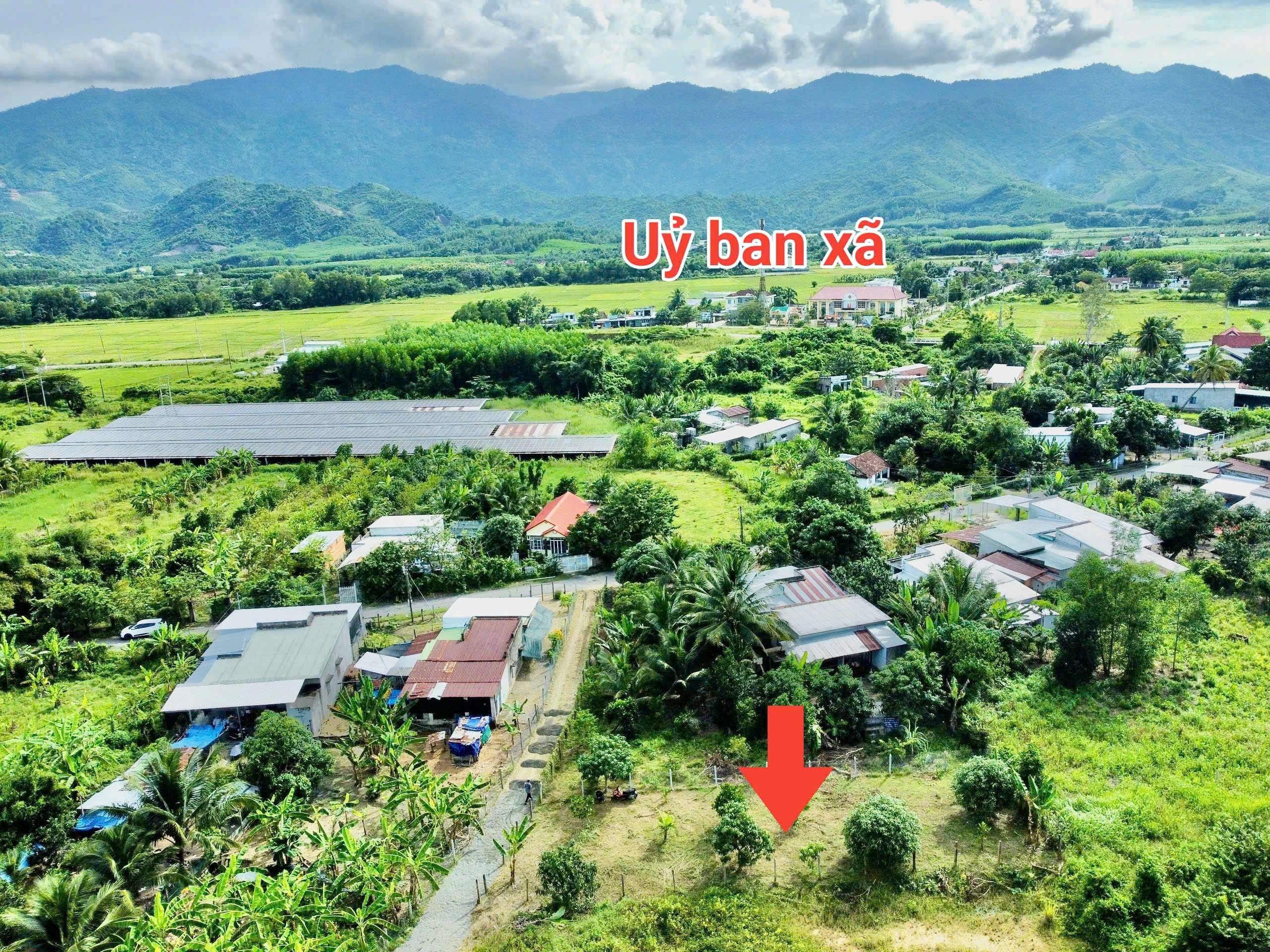 Bán đất Diên Tân giá rẻ ngay trung tâm xã - sau lưng chợ đi vào 7