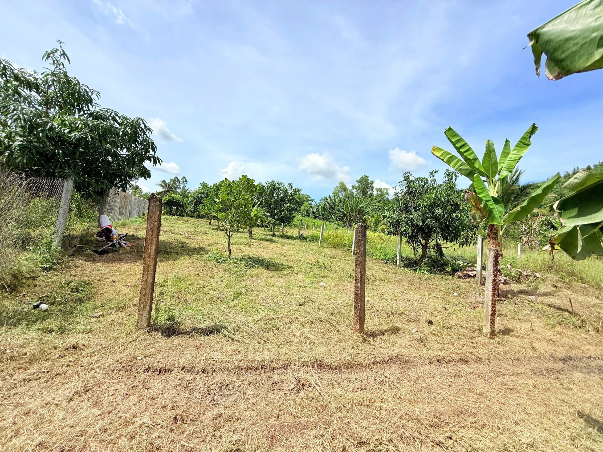 Bán đất Diên Tân giá rẻ ngay trung tâm xã - sau lưng chợ đi vào 2