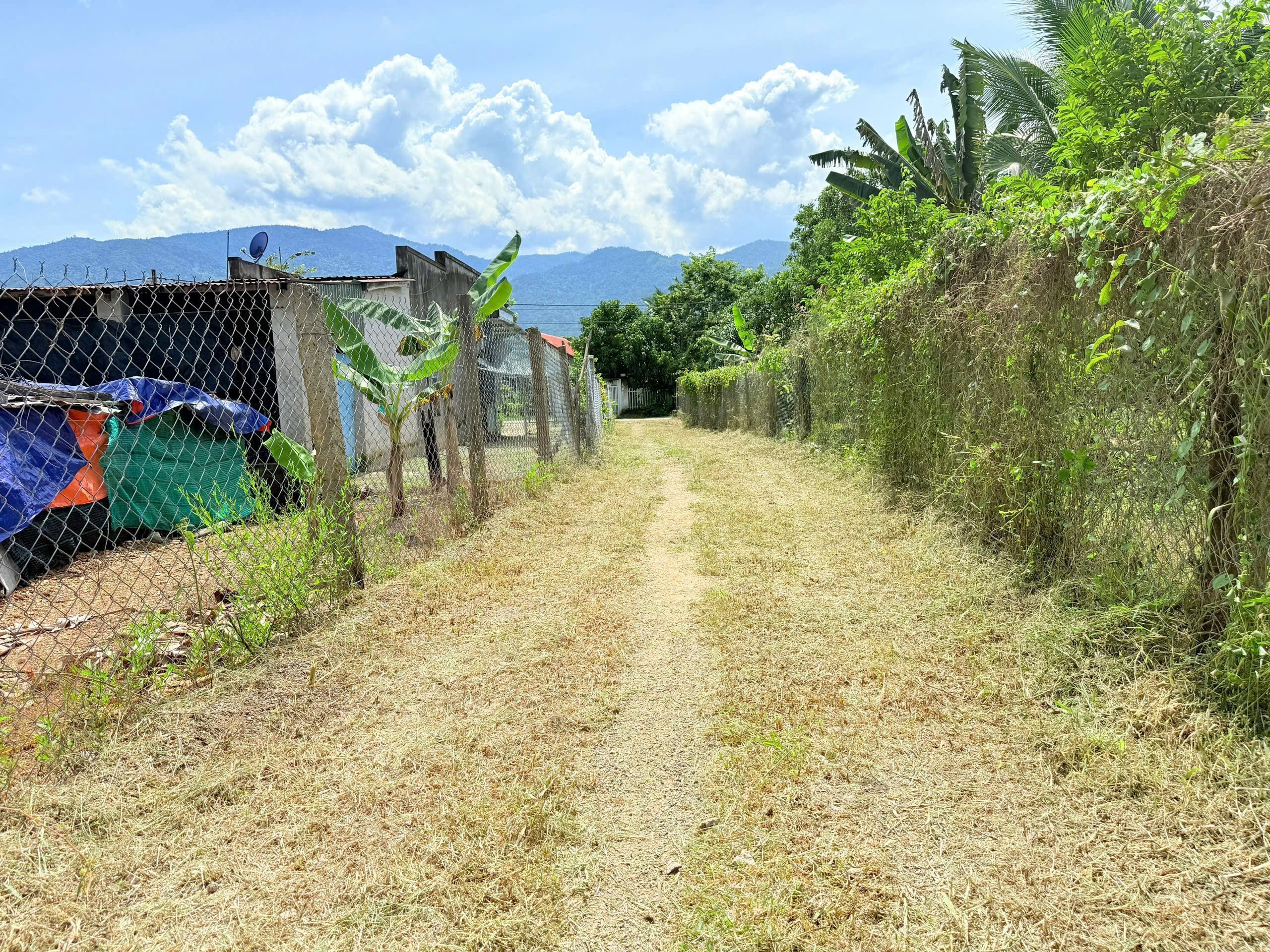 Bán đất Diên Tân giá rẻ ngay trung tâm xã - sau lưng chợ đi vào 3